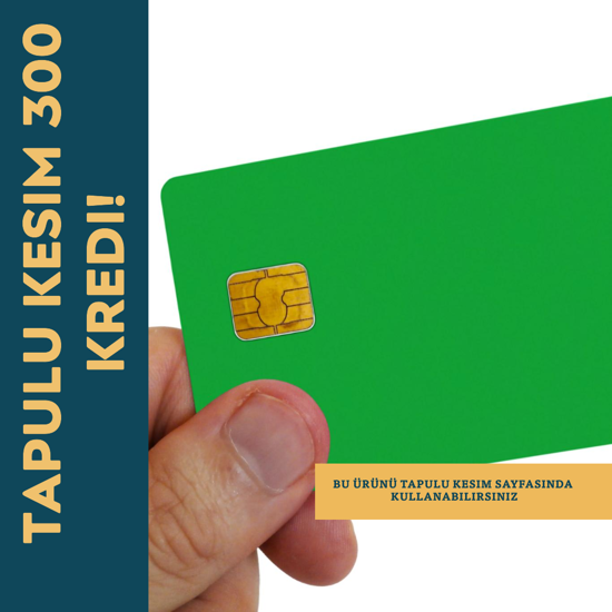 Tapulu Kesim 300 Kredi